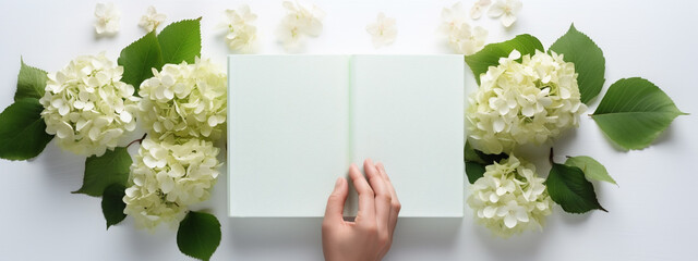 hands holding an open notebook with blank pages on a white wooden background with hydrangea flowers. Bright sunny photography for mockups, presentations and publications.