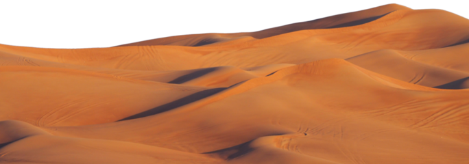 sand dunes in the desert. desert isolated on white background. Dunes of Sahara desert isolated on white background