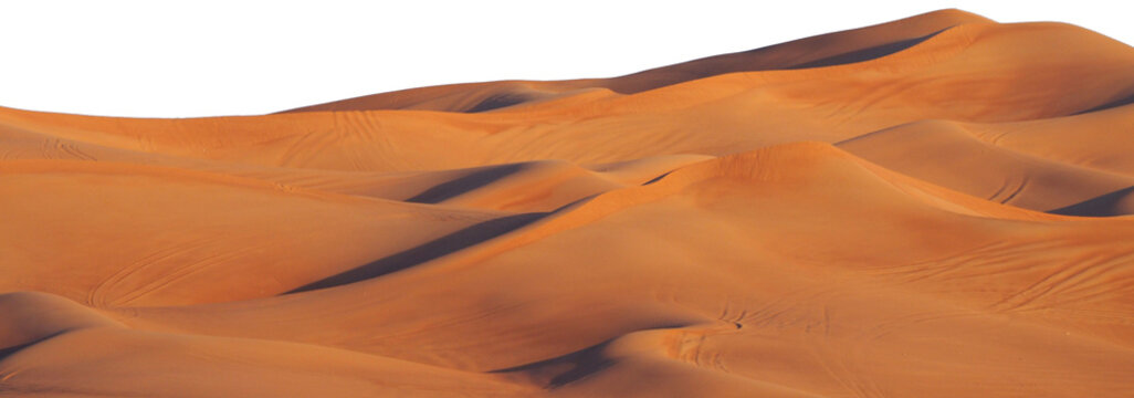 sand dunes in the desert. desert isolated on white background. Dunes of Sahara desert isolated on white background