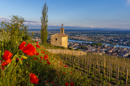 Grand cru vineyard and Chapel of Saint Christopher, Tain l'Hermitage, Rhone-Alpes, France
