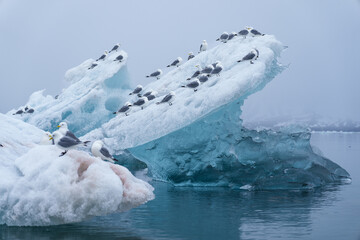 Iceberg in Svalbard