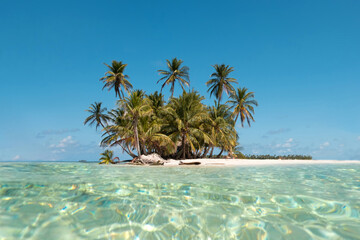 small tropical  island with palm trees and white beach