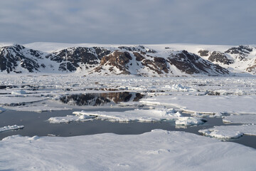 Arctic Landscape in Svalbard
