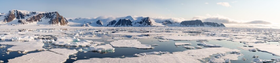 Arctic Landscape in Svalbard