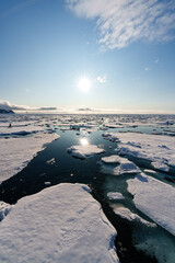 Arctic landscape in Svalbard
