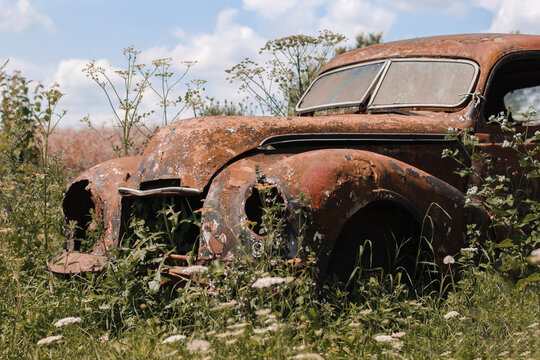 old rusty car in the field