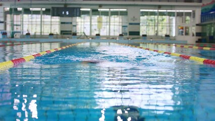 Professional female swimmer in swimming lane, training swim breaststroke technique for coming competition, front view. Competitive swimming discipline concept.