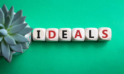 Ideals symbol. Wooden blocks with word Ideals. Beautiful green background with succulent plant....