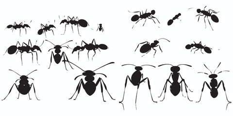 Silhouettes of ants on white background vector illustration