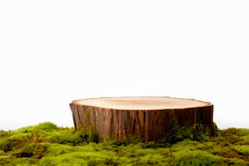 Fototapeta premium Wooden saw cut, round podium with green moss isolated on a white background. High quality photo