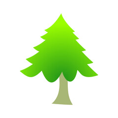 christmas tree isolated on white