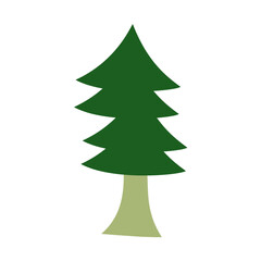 Fototapeta premium green christmas tree