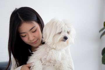 Young asian woman carrying with fluffy dog shih tzu with love in living room at home, friends pet...