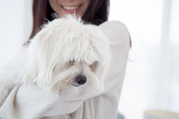 Closeup young asian woman standing carrying with fluffy dog shih tzu with love in living room at home, friends pet with companion, woman hug with animal for relax, female and friendly of puppy.