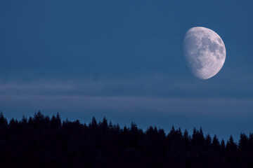 Fototapeta na wymiar beautiful half moon on the clear night sky with tree silhouettes on the mountains