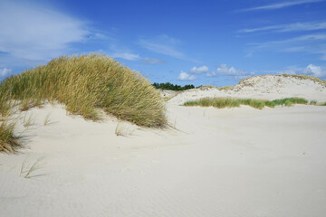 Sandy dunes in Slowinski National Park in Poland. Łeba