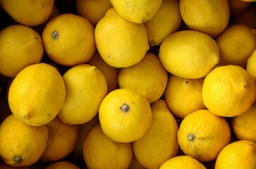 closeup of a bunch of lemons sitting next to each other