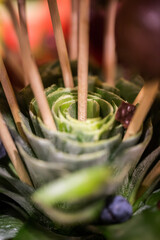Vibrant succulent plant arrangement featuring multiple sticks and green leaves