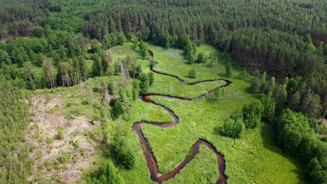 Aerial view of a curved river between forested lands