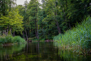 Beautiful landscape of the Krutynia River