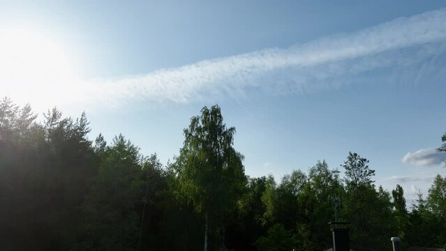 Aerial view of trees and sky, tilting backwards over sunlight collectors on a house roof, sunny summ