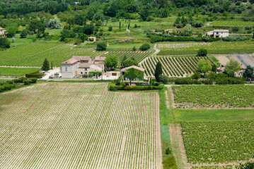Fototapeta na wymiar Agricultural landscape in France with vineyards and green vegetation.