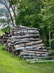 Fototapeta na wymiar large pile of stack logs