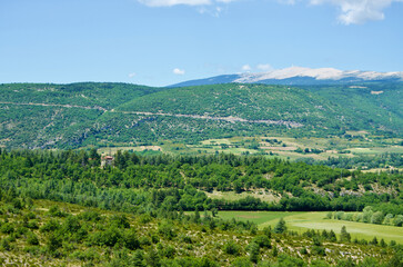 Fototapeta premium Agricultural landscape in front of Mont Ventoux in Provence in France in summer.