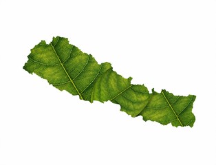 Illustration of Nepal map made of green leaves on a white background
