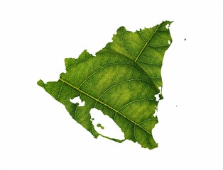Illustration of Nicaragua map made of green leaves on a white background