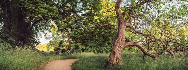 A good place to have a walk