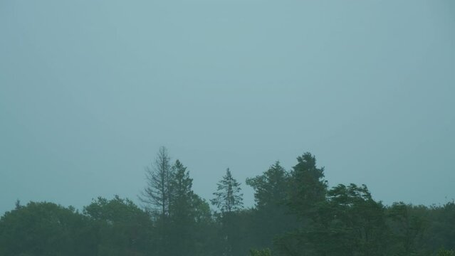 violent rain storm hits the trees extreme weather conditions video with copy space