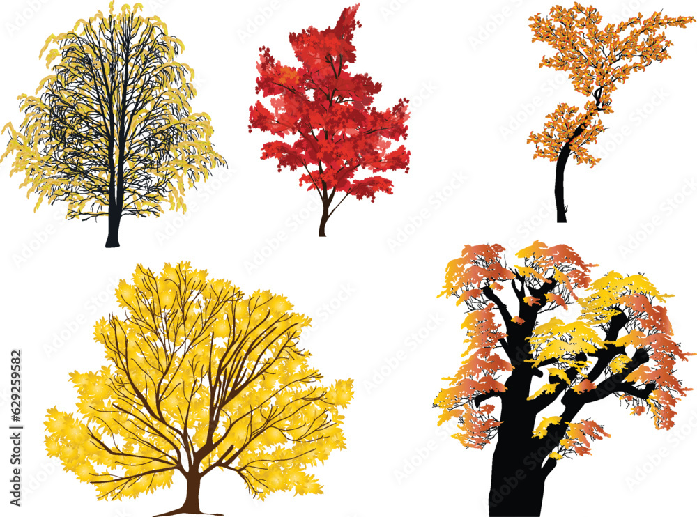 Poster five autumn trees collection isolated on white