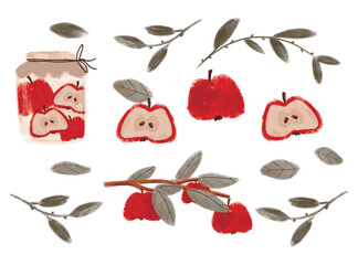 Isolated Apples, apple tree branch, foliage and jar of jam. Vector illustration