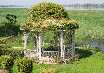 Landscape view across nile river with pagoda in garden