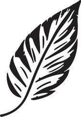 Obraz premium Vector design of a minimalistic feather with a white background