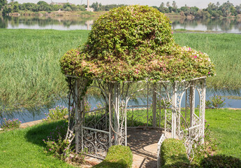 Landscape view across nile river with pagoda in garden