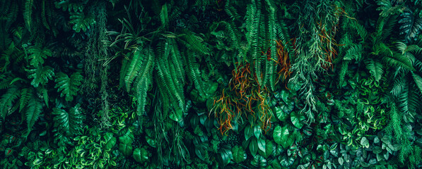 Group of Green leaf and natural background. Close up tropical green leaves texture and abstract foliage. Tropical leaf nature concept.
