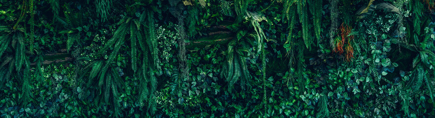 Group of Green leaf and natural background. Close up tropical green leaves texture and abstract foliage. Tropical leaf nature concept.