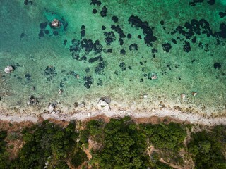 Aerial view of a pristine beach surrounded by lush green trees in a tranquil setting