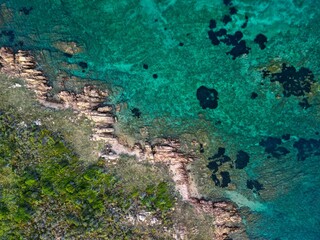 Aerial view of a pristine beach surrounded by lush green trees in a tranquil setting