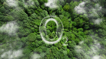 O2 bubbles in the middle of a lush forest are a metaphor for the purifying processes of air through...