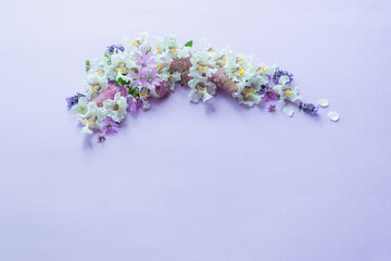 white and purple flowers on purple paper background