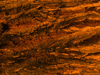 Dark orange texture of tree bark