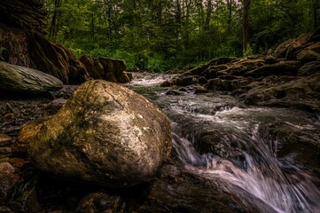 Large grey rock sits on the side of a meandering creek in a lush green forest