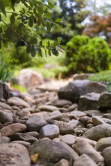 High-definition shot of a group of rocks and pebbles surrounded by lush green foliage