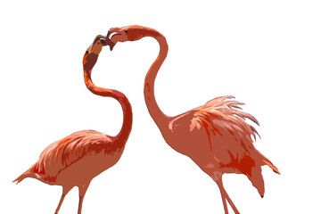 Flamant rose vecteur