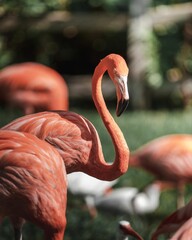 Vertical selective focus shot of a bright pink flamingo near a pond