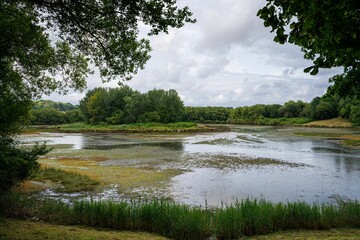 Fototapeta premium an empty lake that is covered in lots of water and plants