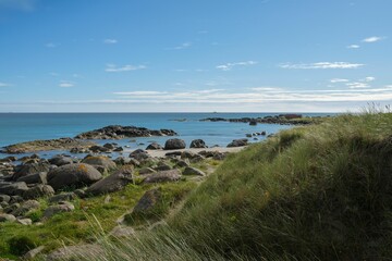 Fototapeta na wymiar Scenic view of rocks and green plants on Brusand Beach, Norway on a sunny summer day